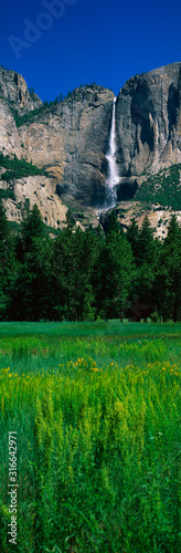 This is the Bridal Veil Falls in spring. There is a spring meadow in the foreground with small flowers blooming.