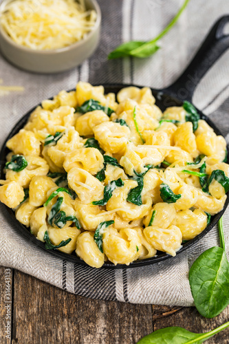 Parmesan Spinach Macaroni and Cheese on Wooden Background. Selective focus.