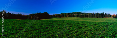 This is a green field on Darling Hill Road. There are fall leaves on the distant trees with a clear blue sky.