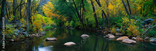 This is Cottonwood Canyon in the autumn. There is a stream flowing through the canyon.