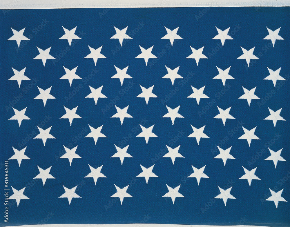 These are the stars of the American flag. They lay flat against their blue background.