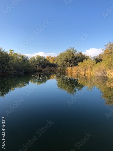 autumn trees reflected in water © nicole