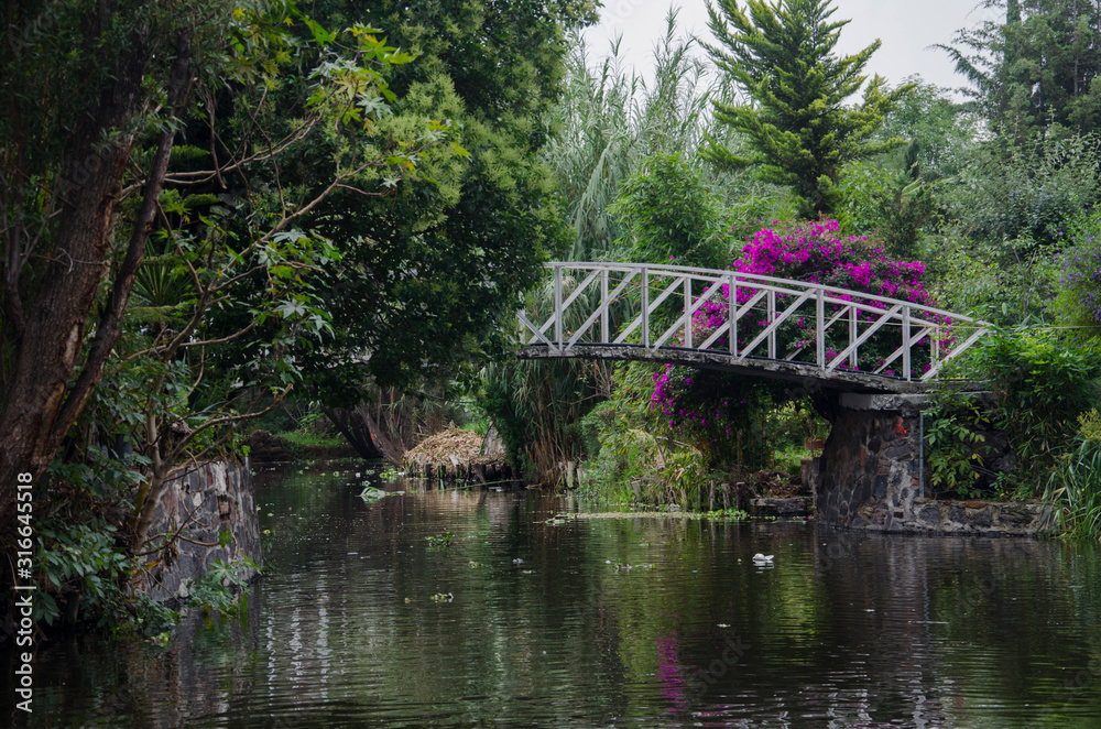 Beautiful water scene, bridge over a canal in Xochimilco, Mexico Beautiful water scene, bridge over a canal in Xochimilco, Mexico