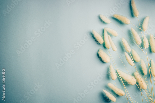 Flowers composition. Frame made of white Lagurus flowers on light blue background. Flat lay  top view  copy space