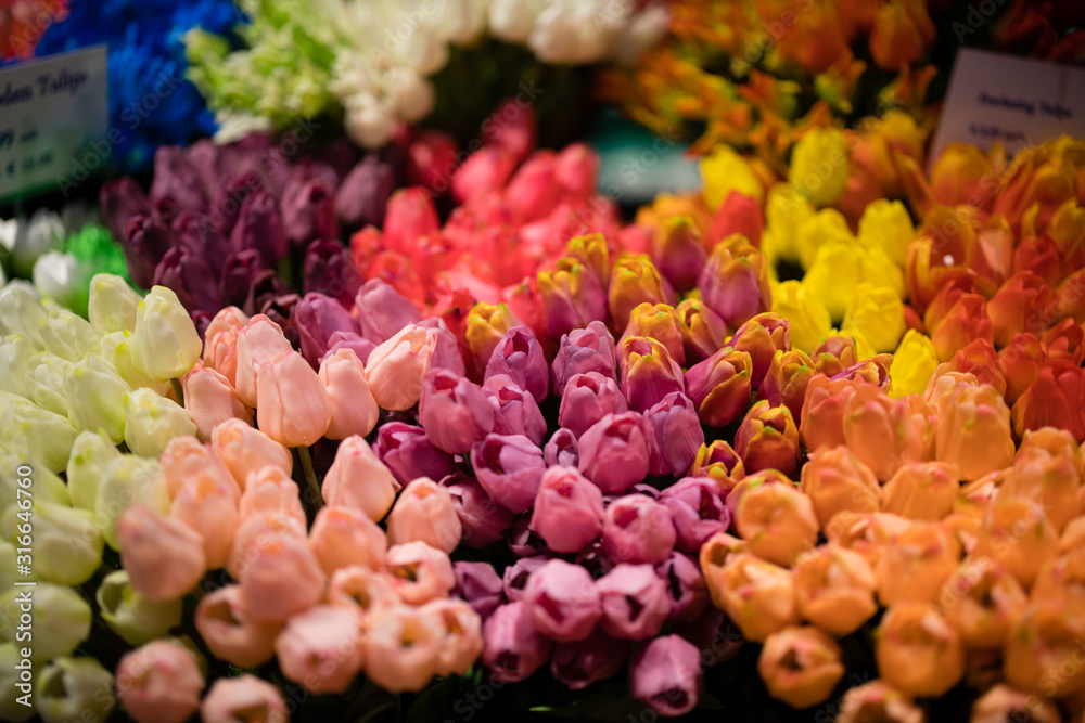 tulip flowers in the market