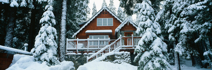 This is a chalet style wooden home covered in freshly fallen snow. The trees in front are also covered in snow.
