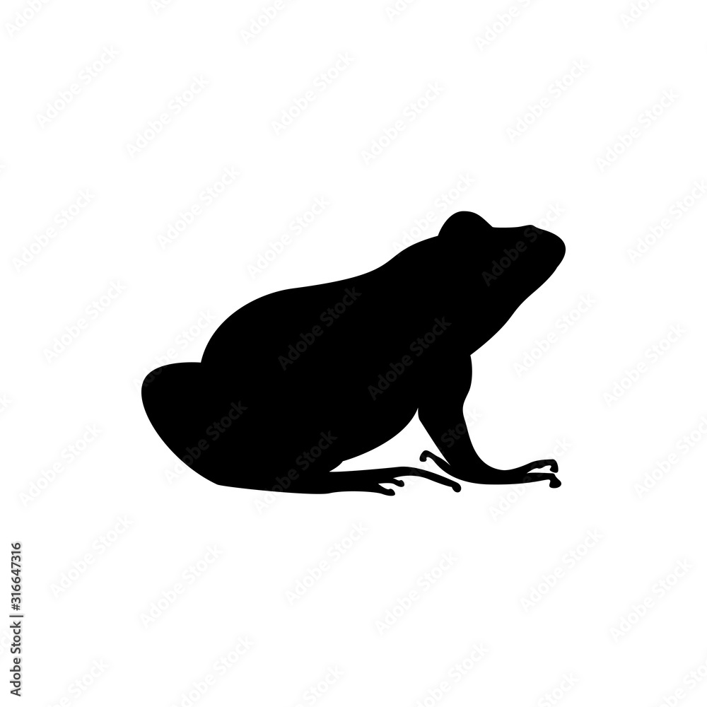 vector frog