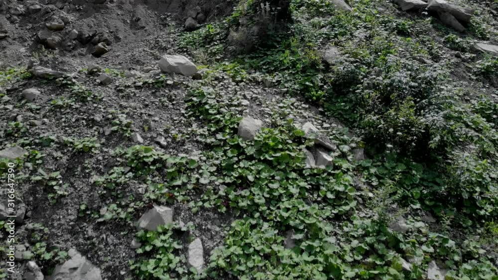 Stones at quarry close up. Grass and stones at open cast mining quarry. Stones at quarry close up. Grass and stones at open cast mining quarry.