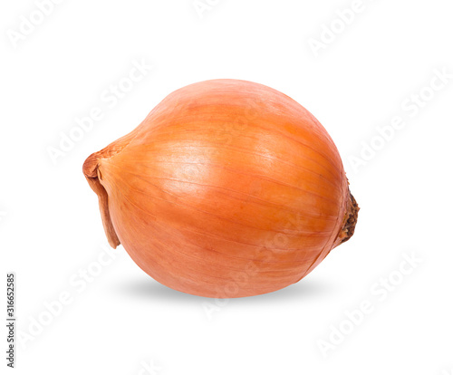 one yellow onion isolated on white background with clipping paths