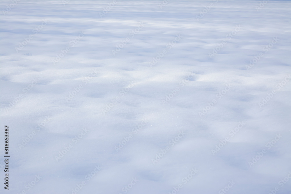 東京都新宿区の公園の雪の降った翌日の積雪の風景 東京都新宿区の公園の雪の降った翌日の積雪の風景