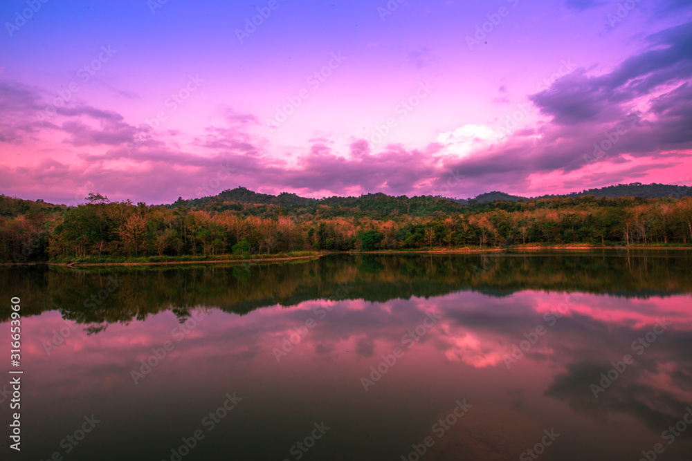 Natural blur background, wide angle of various species of trees along the reservoir, forest system integrity