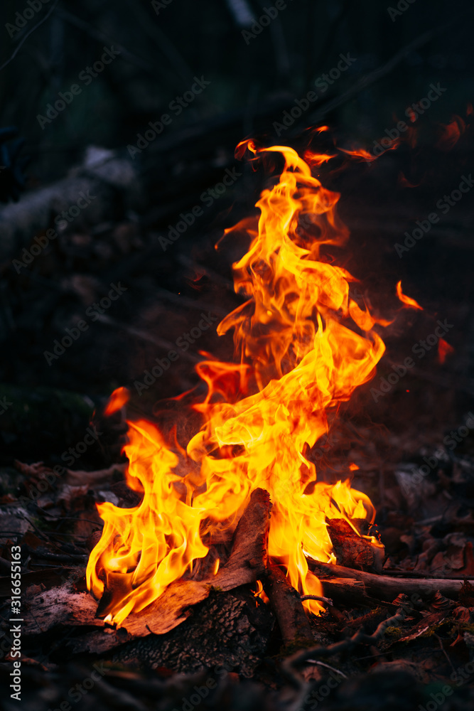 Burning wood at evening in the forest. Campfire at touristic camp at nature. Barbeque and cooking outdoor fresh air. Flame and fire sparks on dark abstract background. Concept of safety and Burning wood at evening in the forest. Campfire at touristic camp at nature. Barbeque and cooking outdoor fresh air. Flame and fire sparks on dark abstract background. Concept of safety and