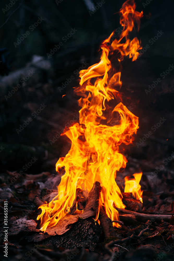 Burning wood at evening in the forest. Campfire at touristic camp at nature. Barbeque and cooking outdoor fresh air. Flame and fire sparks on dark abstract background. Concept of safety and Burning wood at evening in the forest. Campfire at touristic camp at nature. Barbeque and cooking outdoor fresh air. Flame and fire sparks on dark abstract background. Concept of safety and