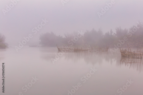 Circular bamboo fish traps with Great egret birds resting on sticks. Ho river near Hoi An, Vietnam