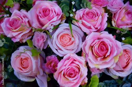 Pink roses represent love and care.