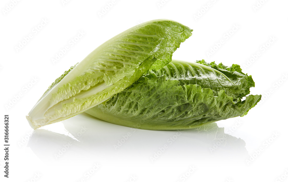 Romaine Lettuce Romaine Lettuce