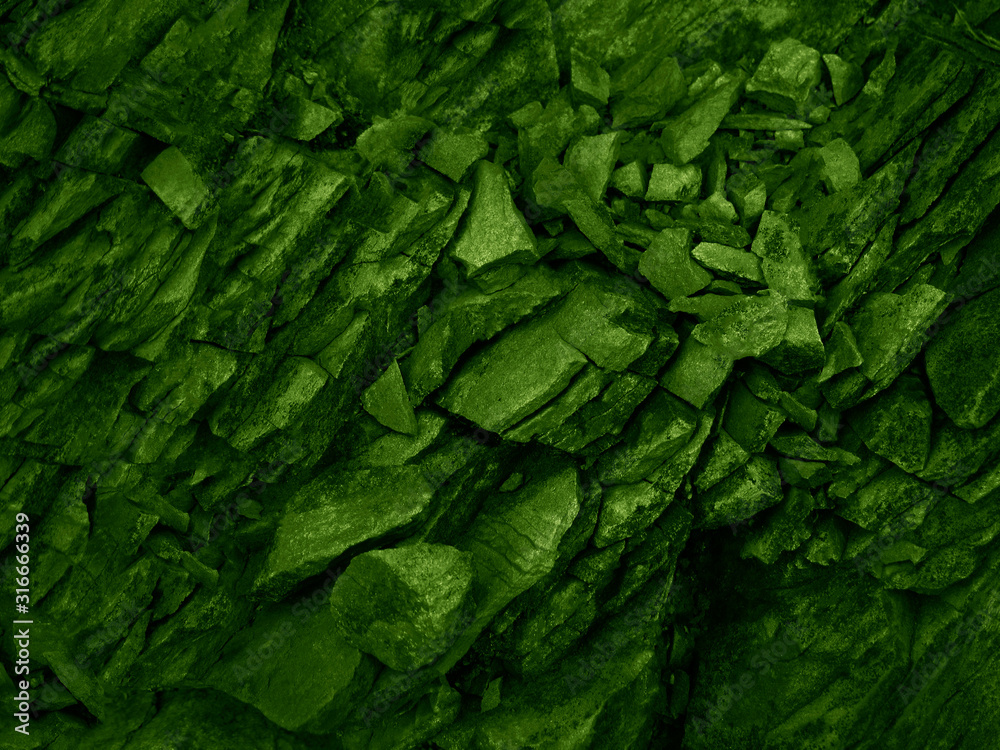 Dark green moss background, Stock image