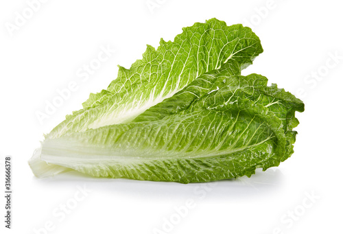 Romaine Lettuce