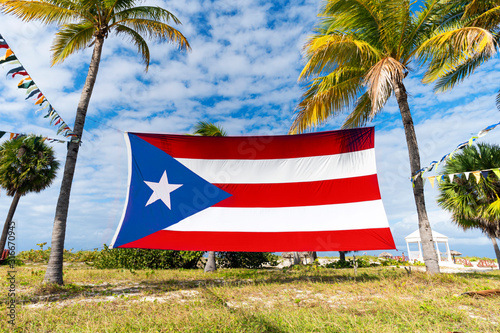 puerto rico Flag Among Palm. Puerto Rican flag against tropical palm trees and blue sky. Beautiful tropical landscape on the background.