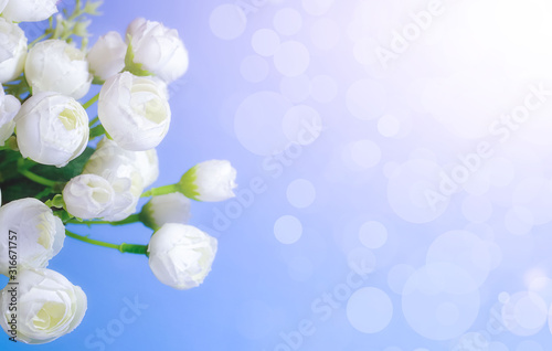 Delicate floral blue background with copy space under the text. Blurred background with spring flowers, bokeh. First flowers branch close-up