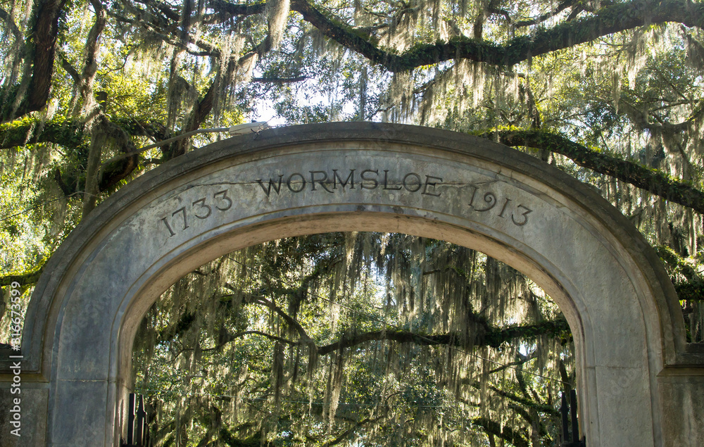 Obraz premium Historic sit in Savannah GA