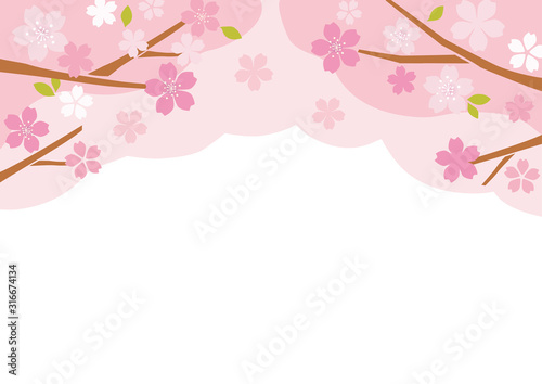 桜の木