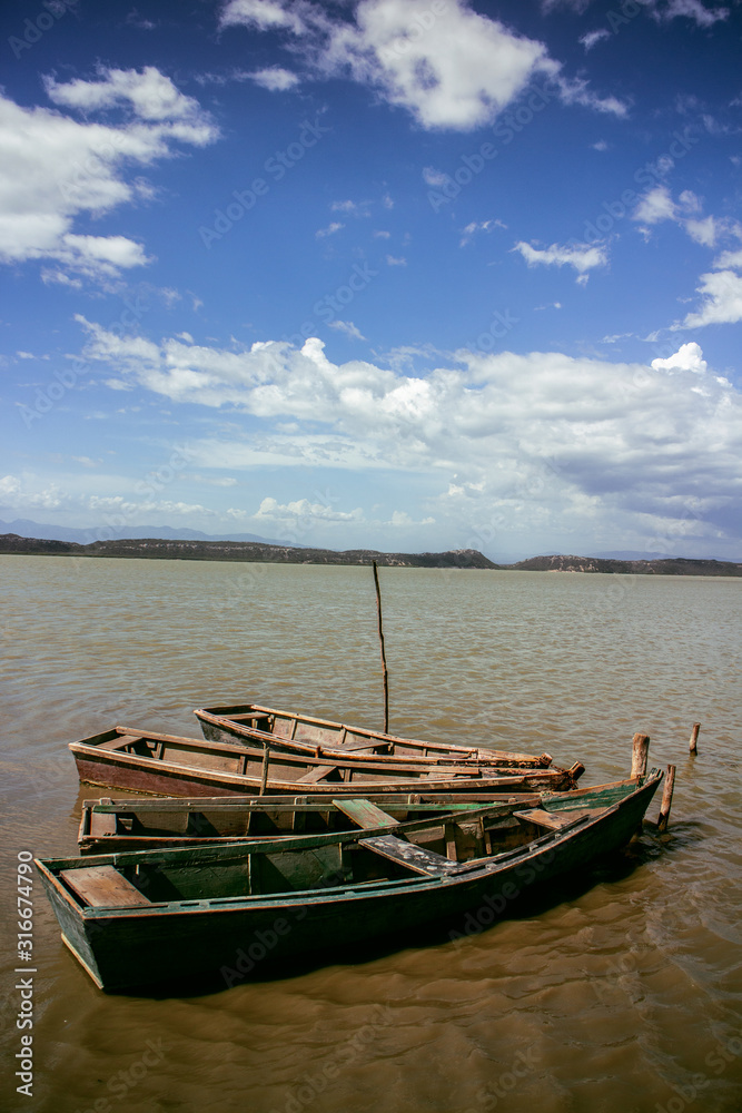 Obraz premium Tree abandoned boats in a lake 