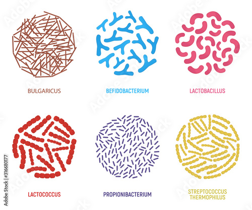 Set of Probiotics Icon. Concept Logo and Label. Health Research Symbol, Icon and Badge. Cartoon Vector illustration