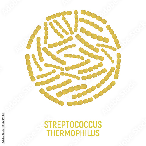 Streptococcus Thermophilus Icon. Probiotic Concept Logo and Label. Health Research Symbol, Icon and Badge. Cartoon Vector illustration