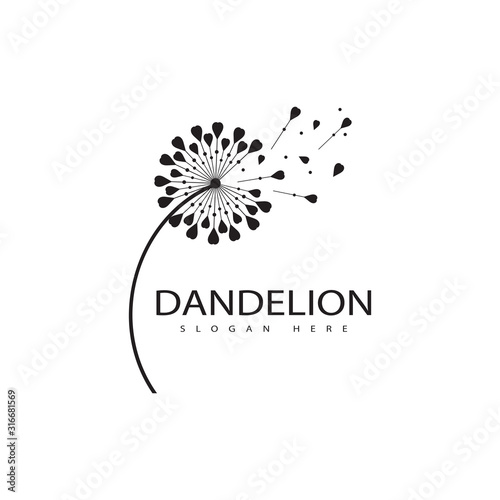 Dandelion vector icon design © dar