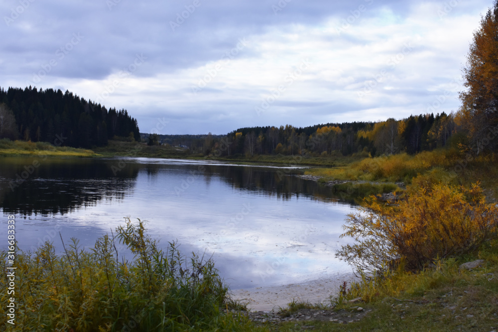 lake in the forest