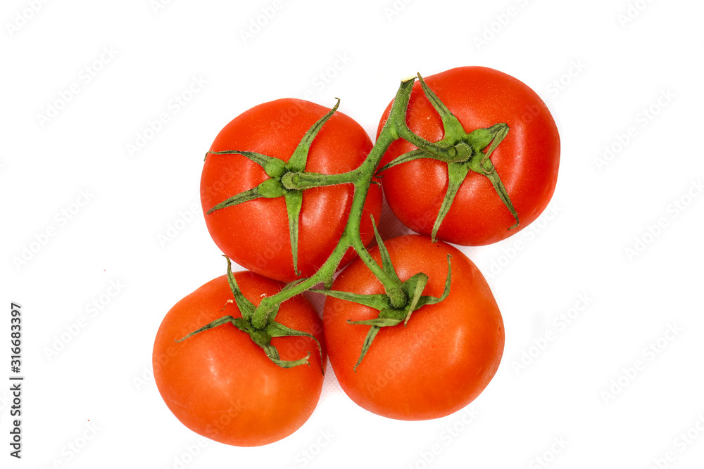 red tomatoes on a white background on a branch