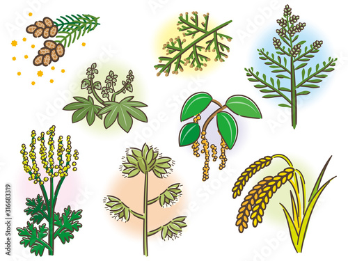 花粉症を引き起こす植物