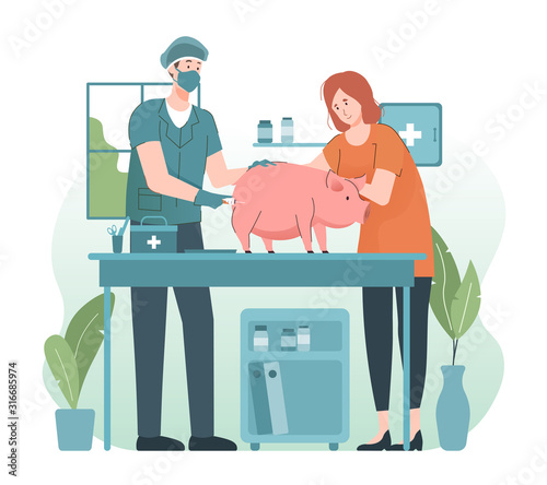 Veterinarian giving injection to a pig in vet clinic. Pet health care and medical concept