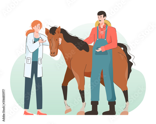Young woman veterinarian doctor examining a horse. Pet health care and medical concept