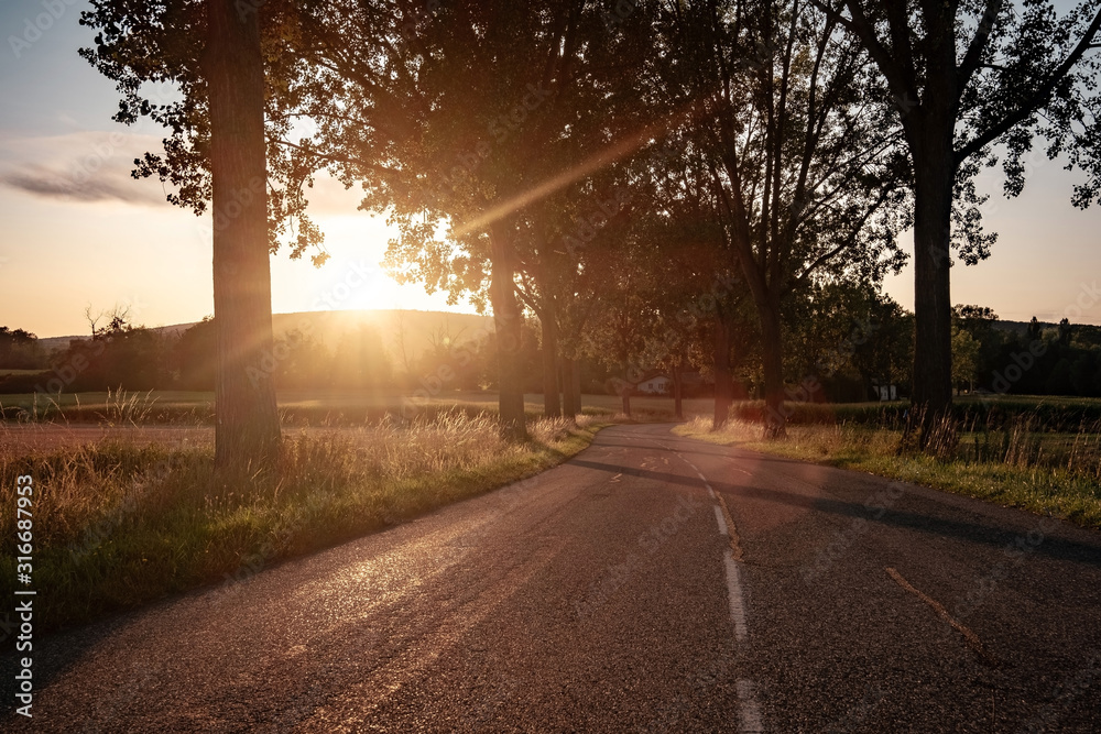 country road at sunset, an alley along a dirt road in the sun
