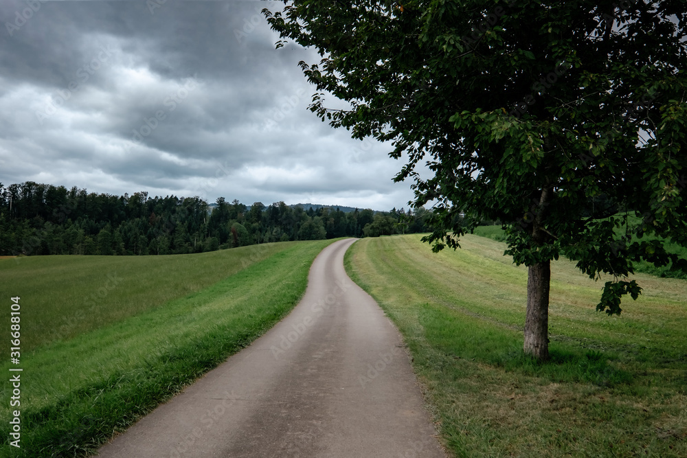 Obraz premium An empty country road through the green fields