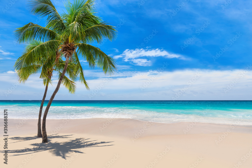 Sunny white sand beach with coconut palm and turquoise sea. Summer vacation and tropical beach concept.