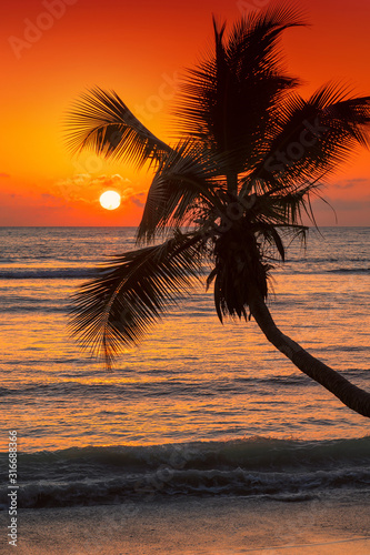 Beautiful orange sunset over the sea with coco palm on the beach in exotic island.