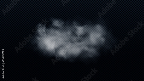 Realistic white smoke cloud isolated on transparent background. Fog, smog or cloudiness effect.