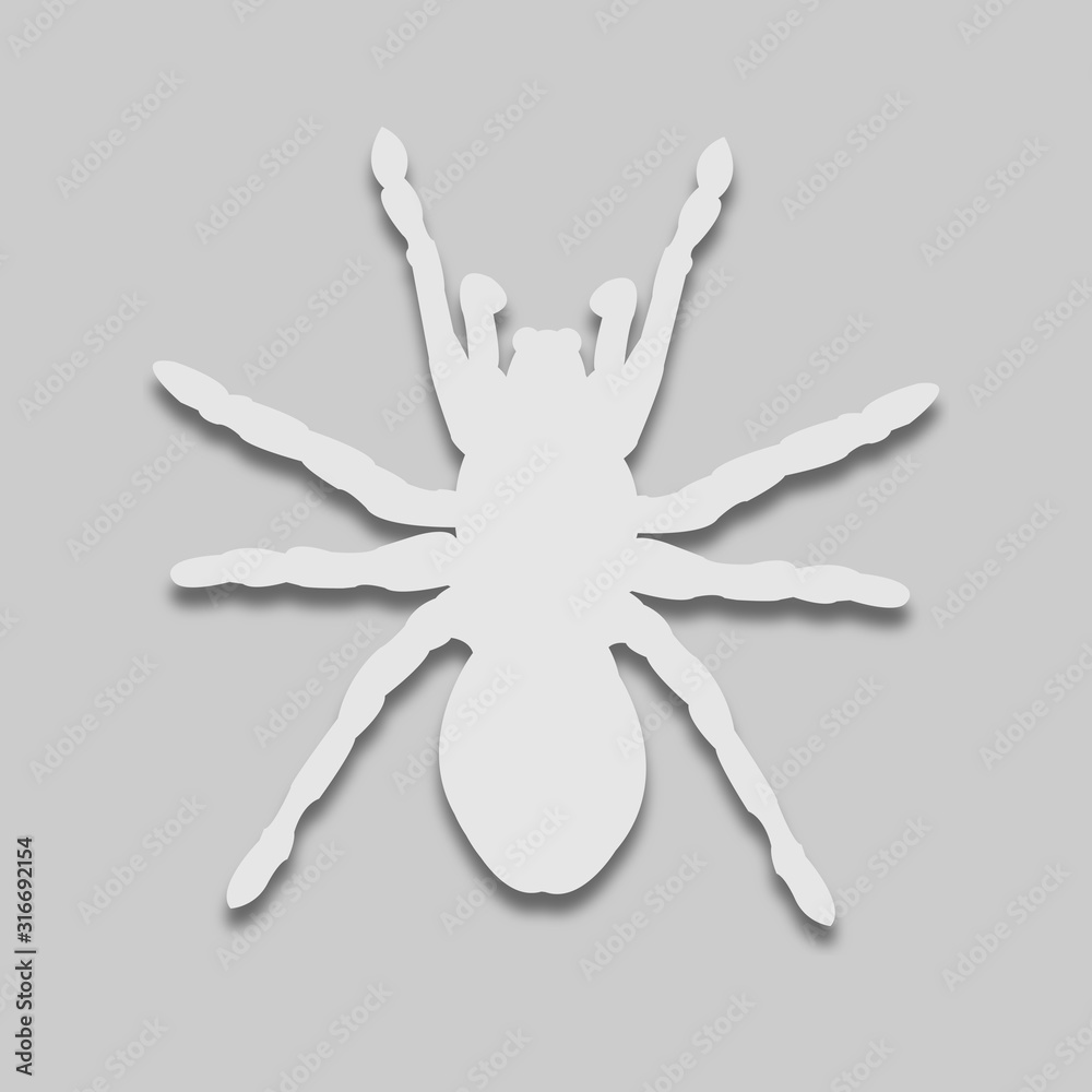 Obraz premium Spider light tone