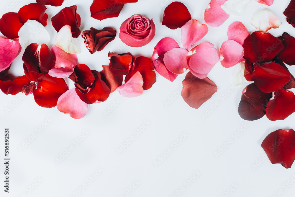 Red fresh leaves of roses lay on isolated background. St. valentine's day, romantic and love concept Red fresh leaves of roses lay on isolated background. St. valentine's day, romantic and love concept