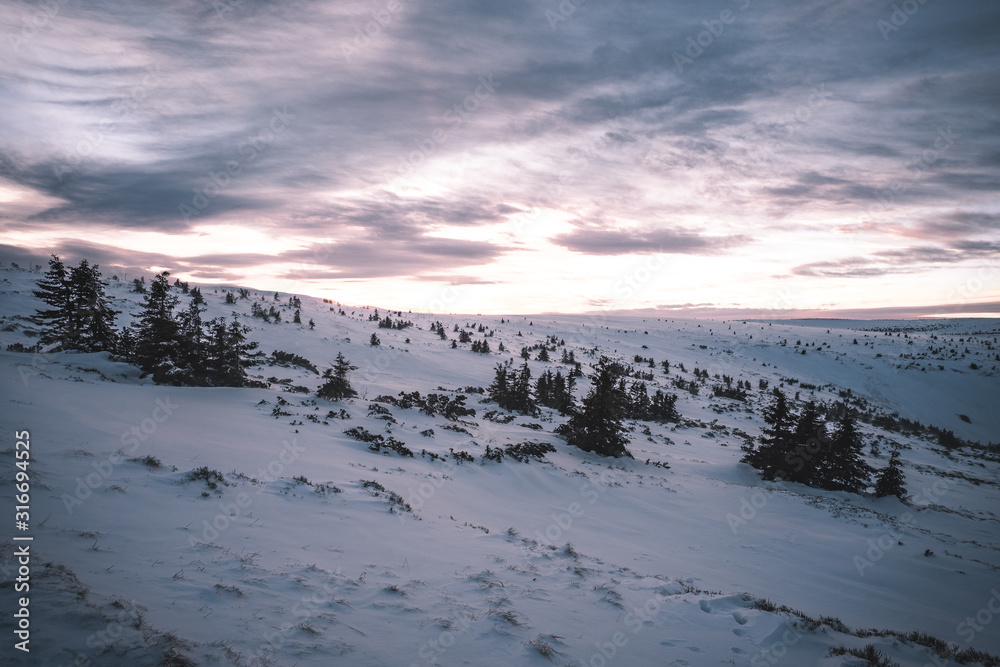 Winter landscape in Krkonose, after sunset beautifully painted landscape in shades of blue and pink color. Krkonose National Park, Czech Republic. Giant Mountain.