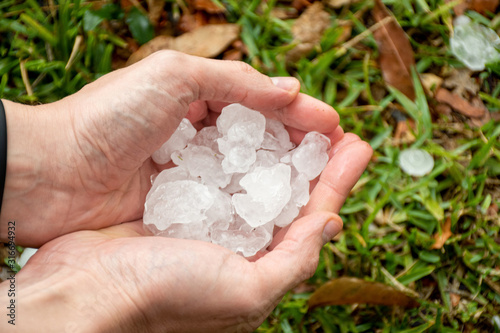 Hands holding large hailstones after severe hailstorm in Sydney, Australia