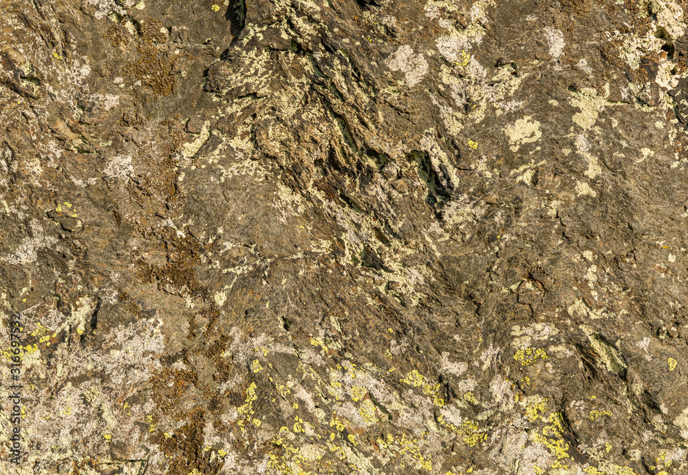 texture of grey and yellow lichen on rock