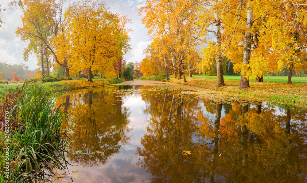 Scenic lake in autumn park with old trees on shores