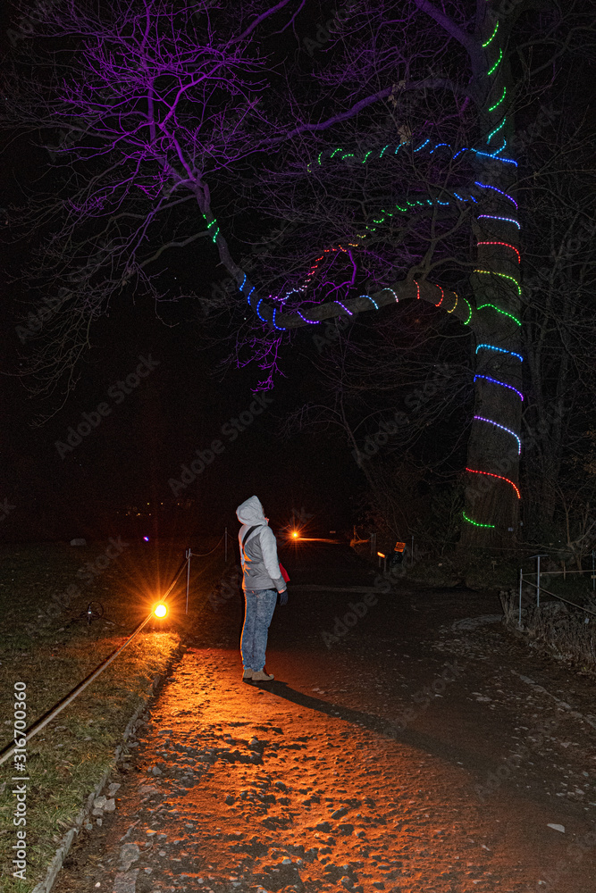 Φωτογραφία Bright orange light and colorful lighted garland wrapped over trunk of huge tree in botanical garden of Berlin
