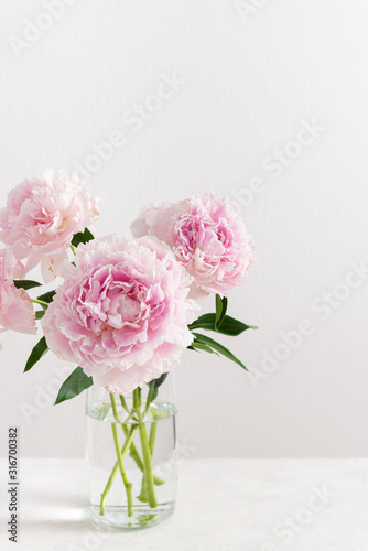 Beautiful pink peony bouquet in a vase on white background. Spring mood  romantic present