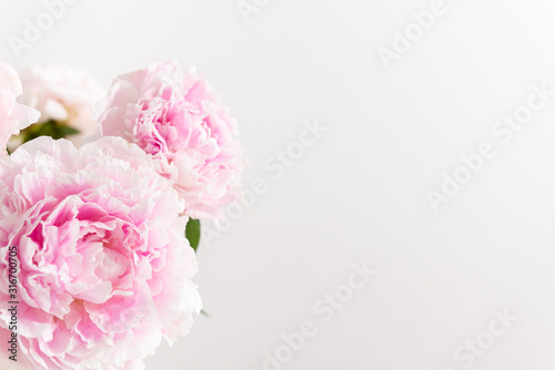 Lovely flowers on a light background. Beautiful bouquet of pink peonies. Floral composition  copy space. Wallpaper  greeting card  poster  floral shop concept