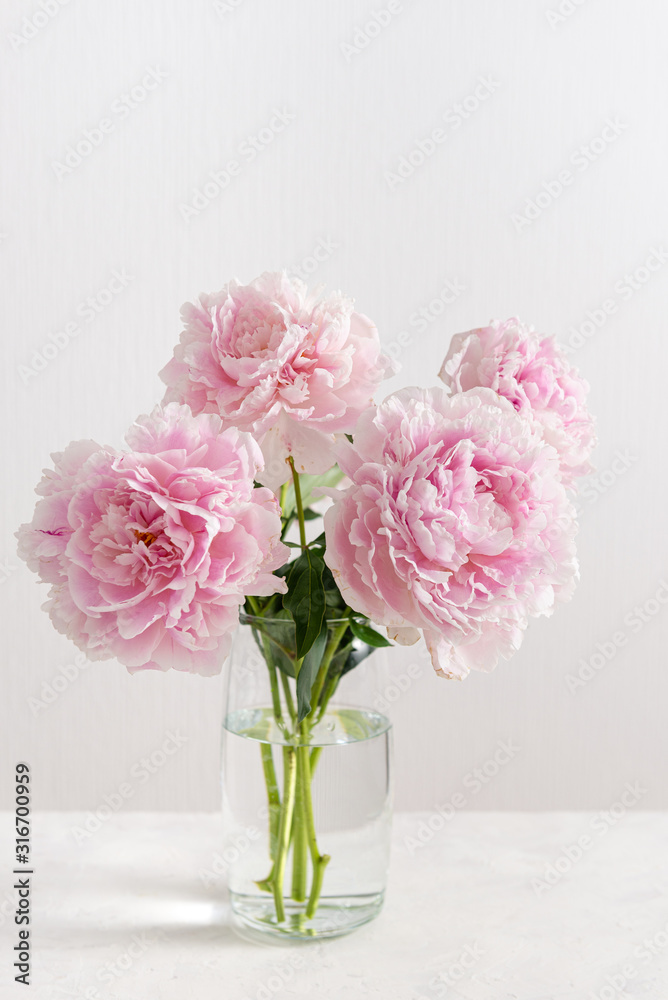 Fresh bunch of pink peonies on white background. Card, poster concept, close up Fresh bunch of pink peonies on white background. Card, poster concept, close up